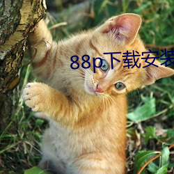 88p下載安裝